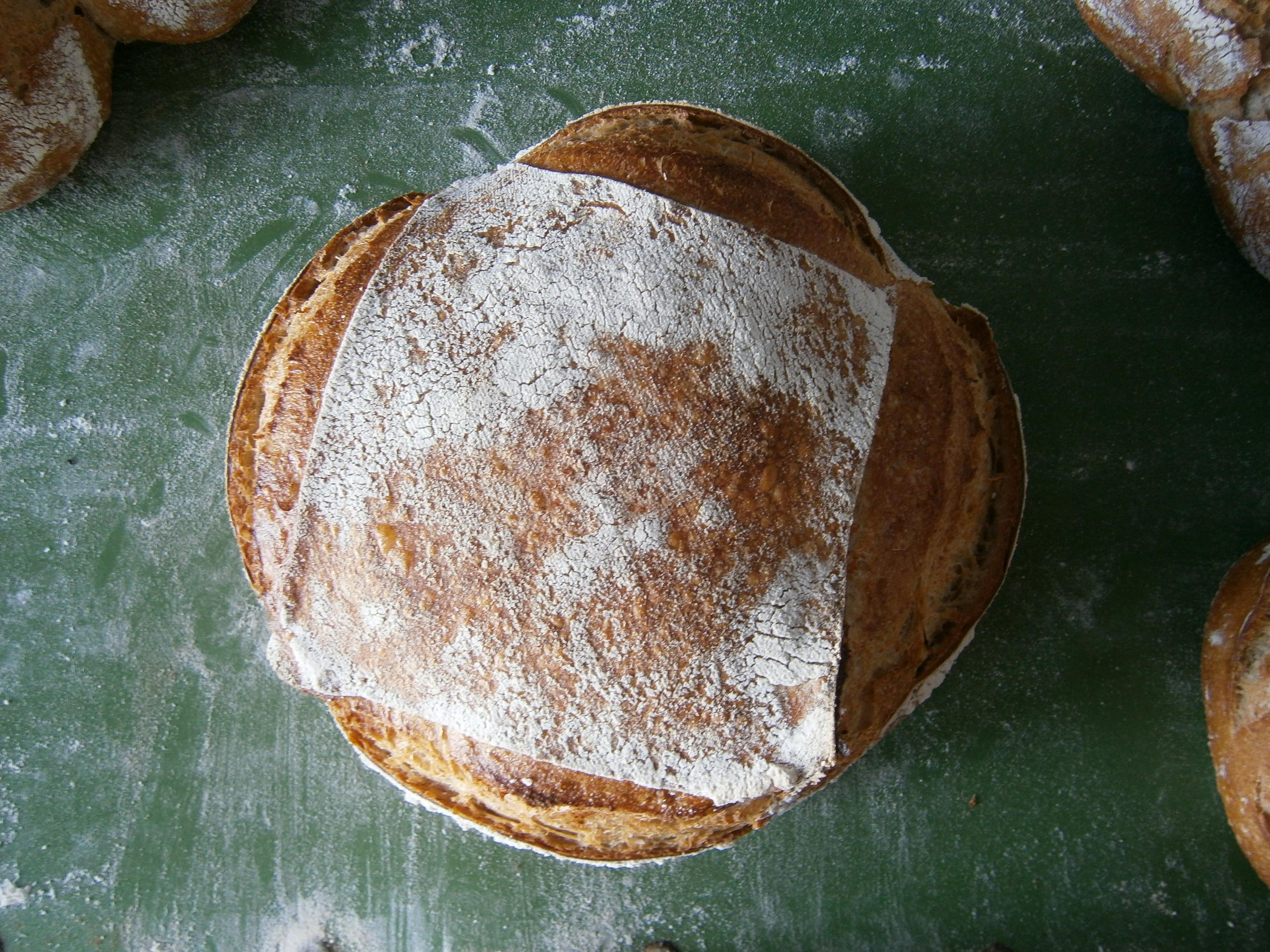 Pan elaborado con trigo Xeixa