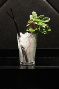 Mojito by Coppelia Club