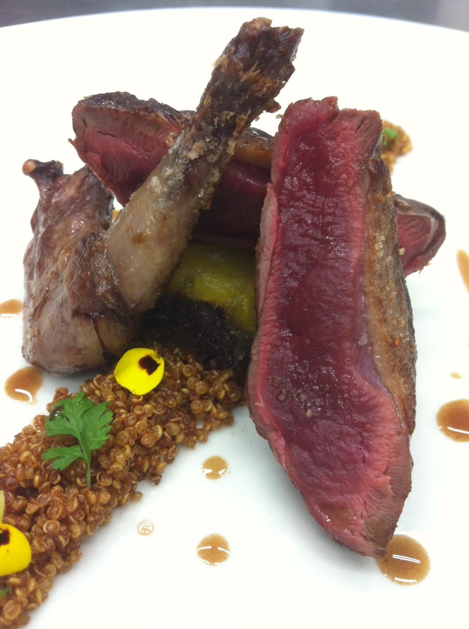 Pichón con Terrina de Pan de Miel, Higaditos y Mango