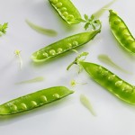 Guisantes lágrima, trazos de acelga y matices picantes