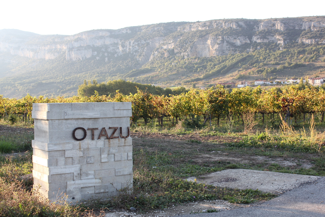 Bodega Otazu