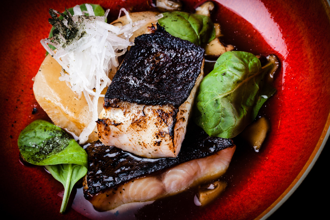Bacalao negro con setas de Dani García