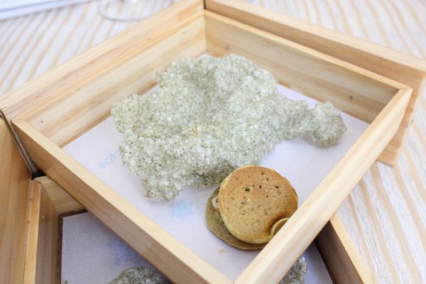 Crujiente de algas y Blini de Ortiguillas