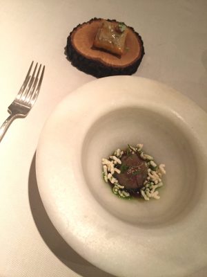 Pastela y Albóndigas de pato