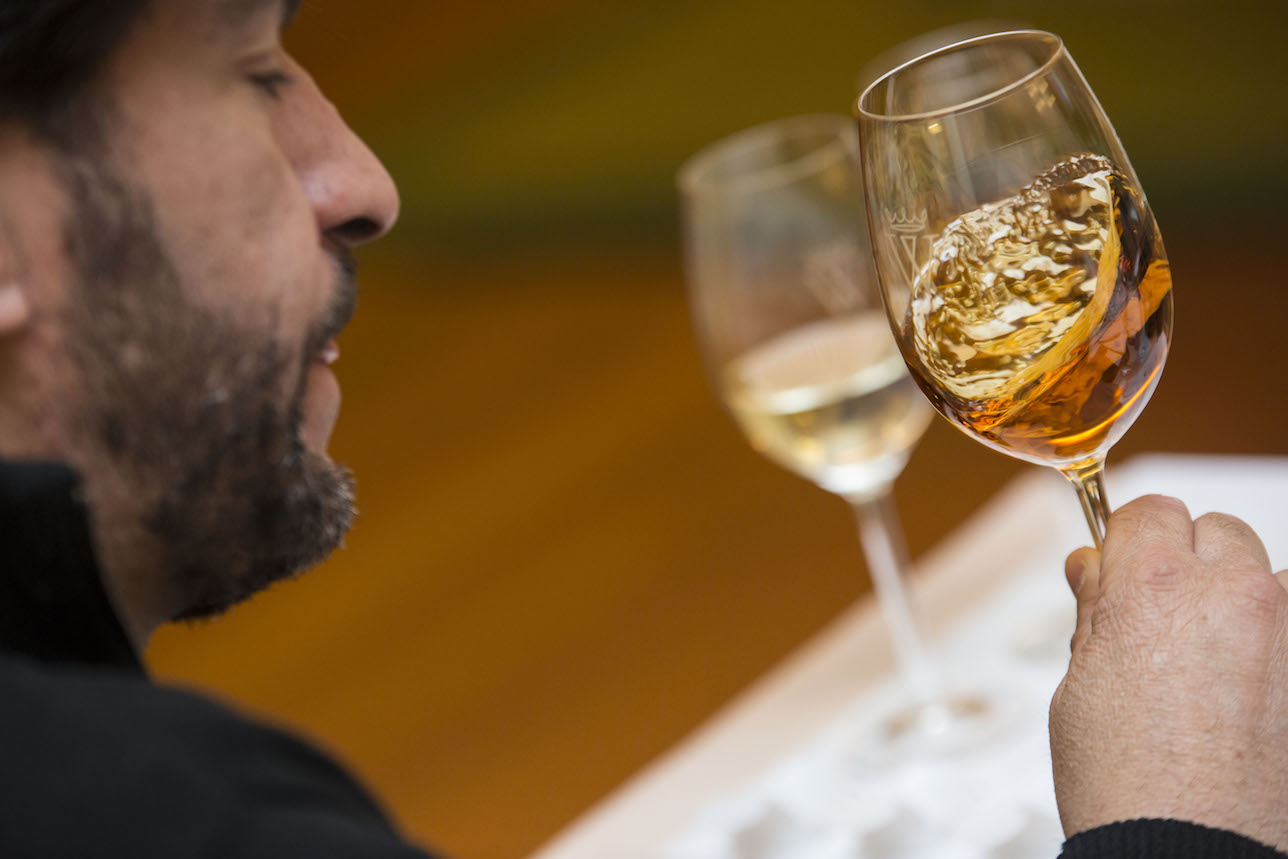 Copa Jerez Forum & Competition