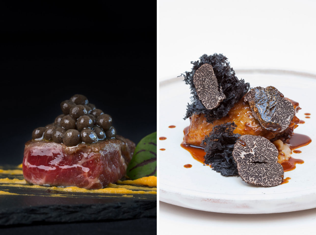 Trufa Negra Melanosporum