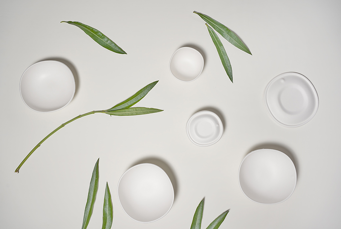 Vajilla biodegradable