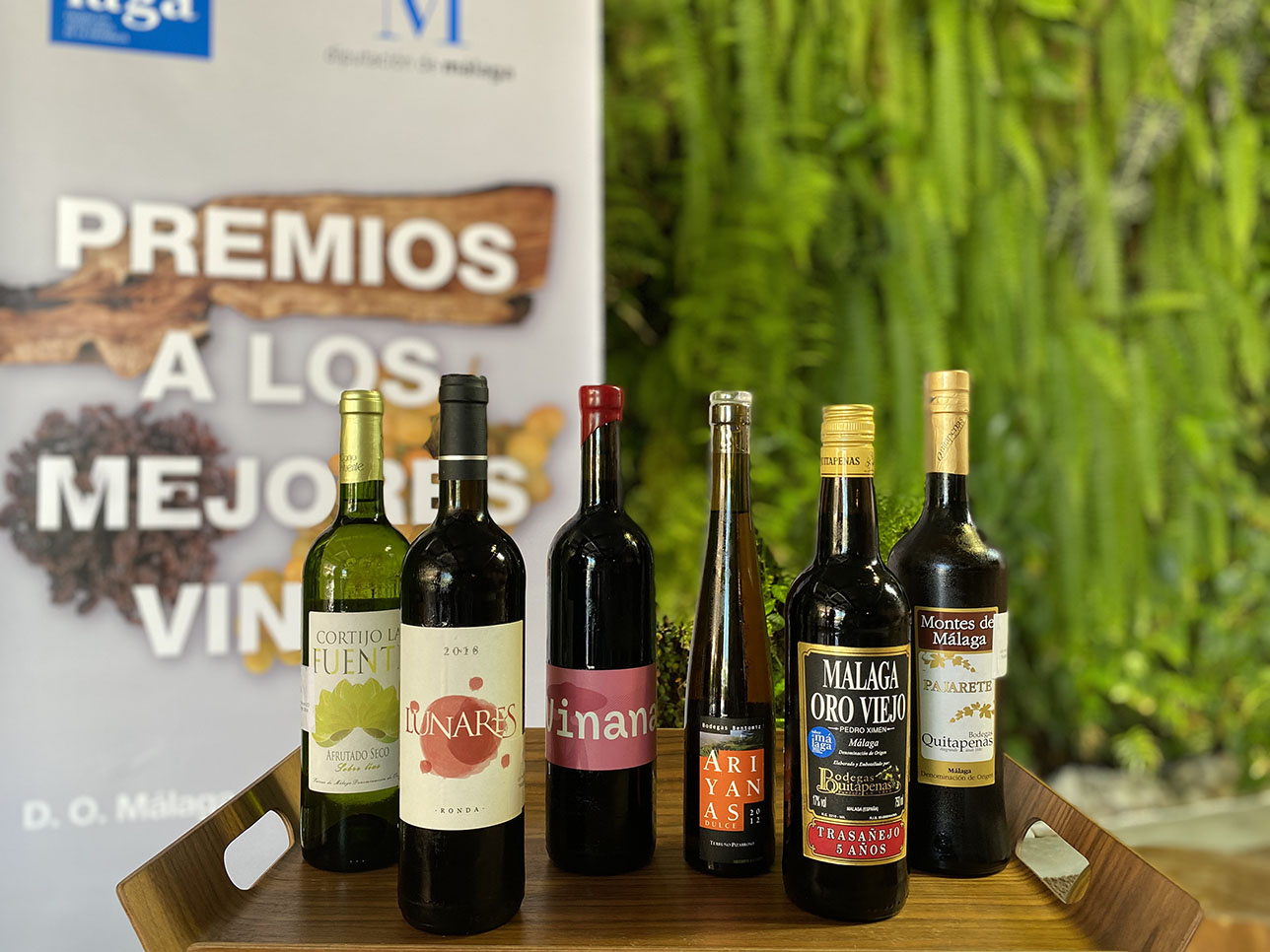 VII Concurso de Vinos "Sabor a Málaga"