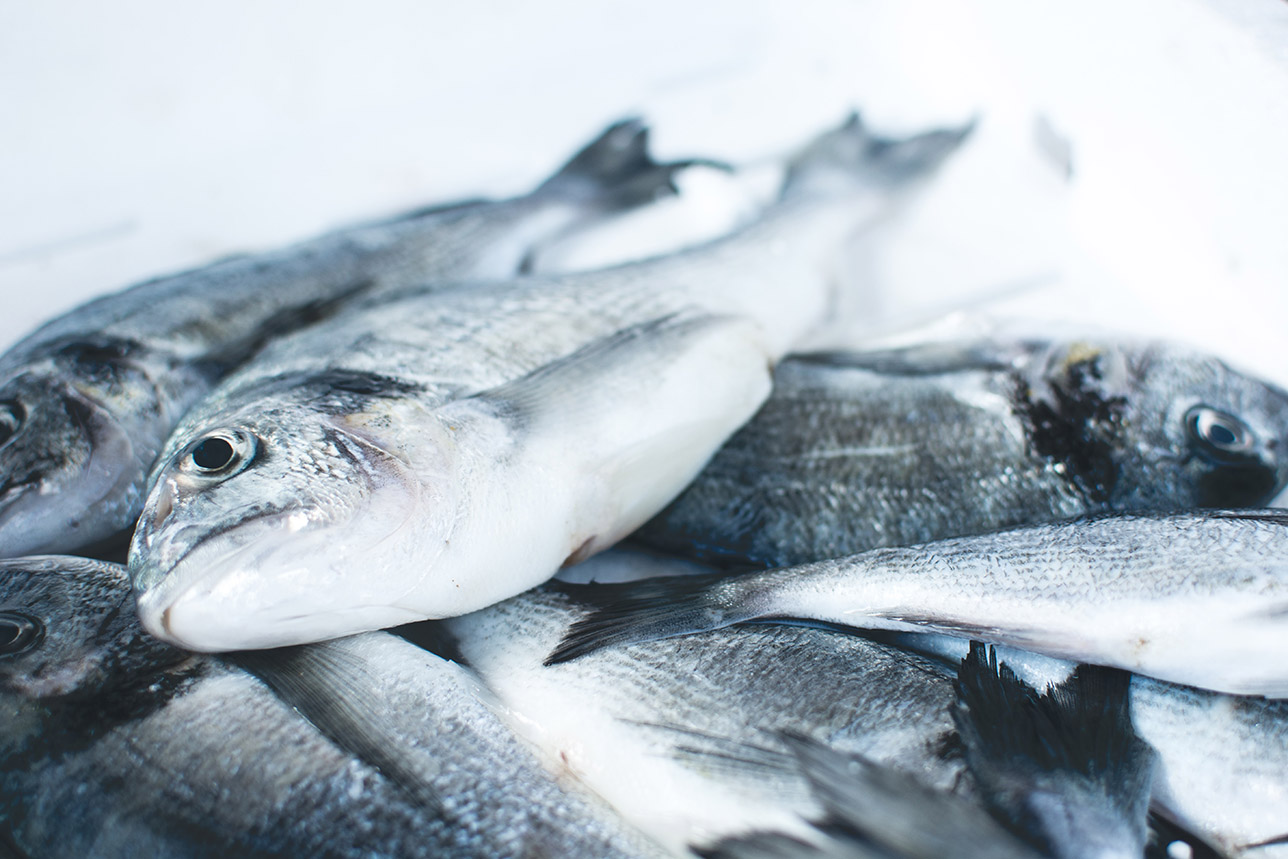 Ángel León, el chef del mar, busca concientizar al consumidor en la compra de pescados de descarte