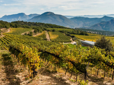 Denominación de Origen Costers del Segre