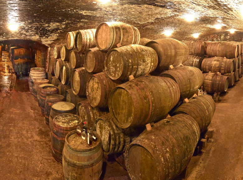 Michel Couvreur y Bodegas Toro Albalá