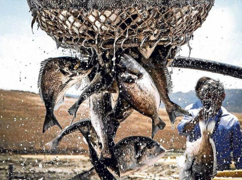 Encuentro de los Mares