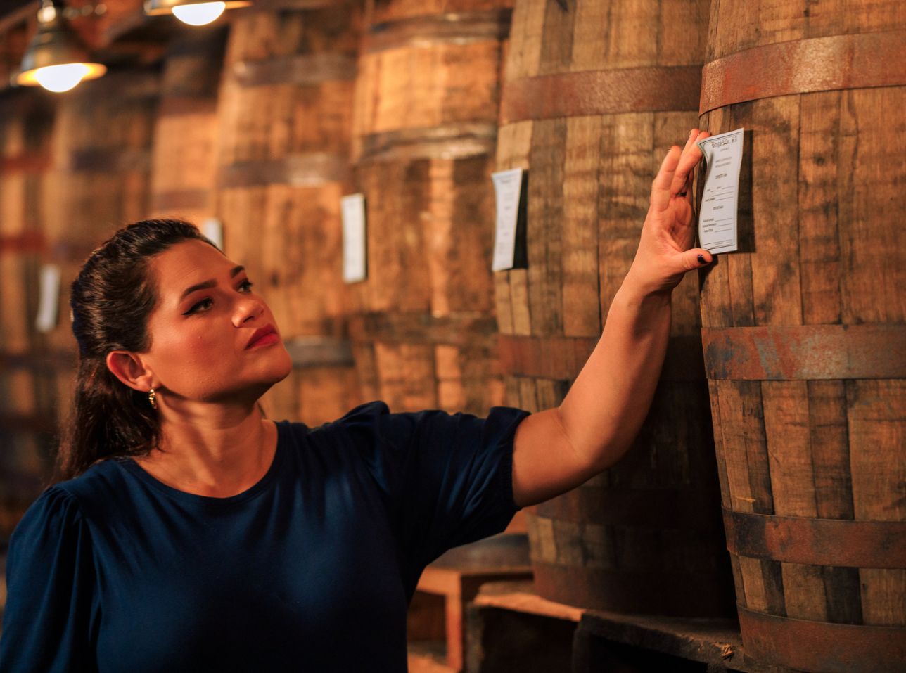 Jassil Villanueva, Brugal Maestro Reserva