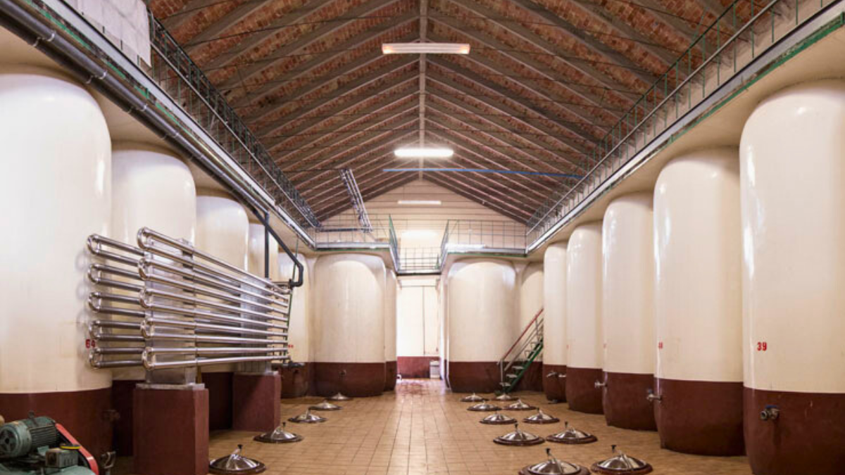 Interior de Candelaria Bodega y Viñedos