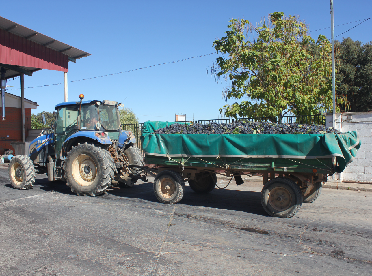 Sociedad Cooperativa La Magdalena
