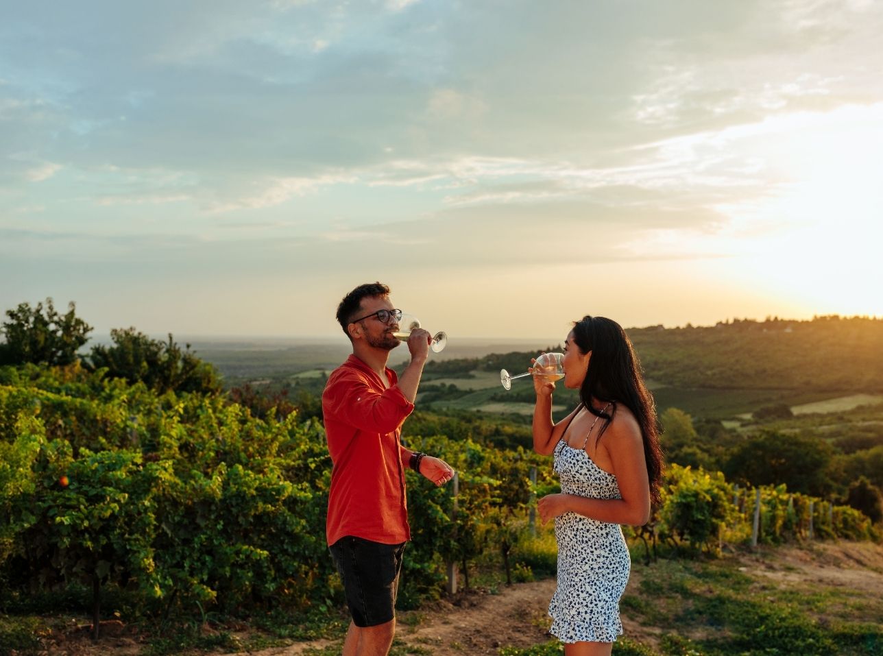 Ruta del vino por Chile