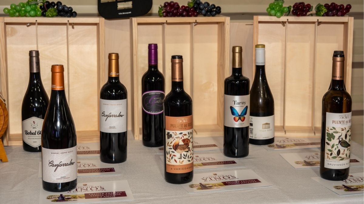 Los 15 mejores vinos de Cuenca 2026