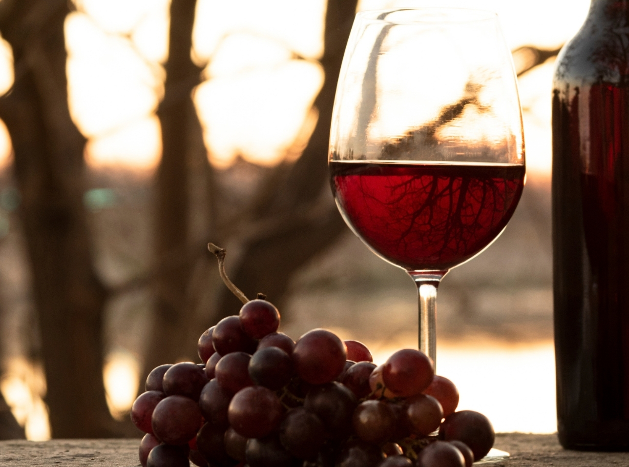 Vinos de Madrid. Foto: Freepik - Magnific.com